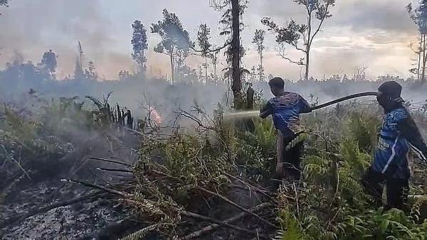 Cuaca Ekstrem Picu 3 Titik Kebakaran Lahan di Palangka Raya