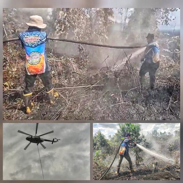 Gambut 1 Hektare di Pulang Pisau Terbakar, Asap Pekat Mengepul Sulit Hilang