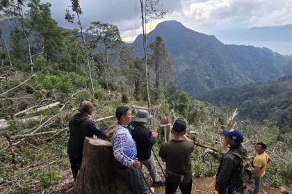 Kasus Perambahan Hutan di Aceh Tengah, Oknum Keuchik Ditangkap Polisi