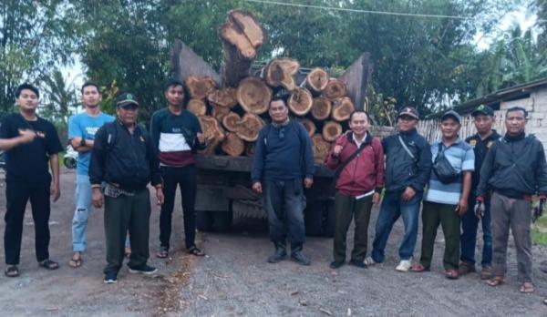 Danru Baru Perhutani Banyuwangi Selatan Gagalkan Aksi Pencurian Kayu Jati, Begini Aksinya