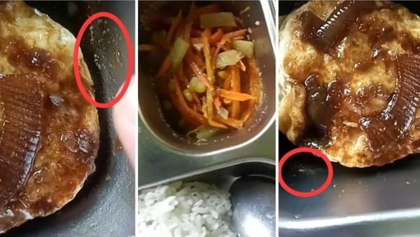 Bikin Mual! Menu Makan Bergizi Gratis Disejumlah Daerah Banyak Belatung hidup Viral