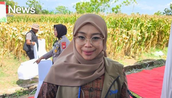Petani di Sulsel Nikmati Harga Bersahabat, Produksi Jagung dan Beras Meningkat