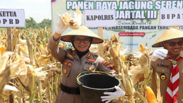 Polres Sragen Gelar Panen Raya Jagung Kuartal III, Dukung Target Swasembada Nasional 4 Juta Ton