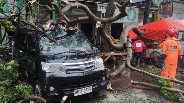 Hujan Disertai Angin Kencang Terjang Boyolali, Puluhan Pohon Tumbang Timpa Mobil dan Rumah