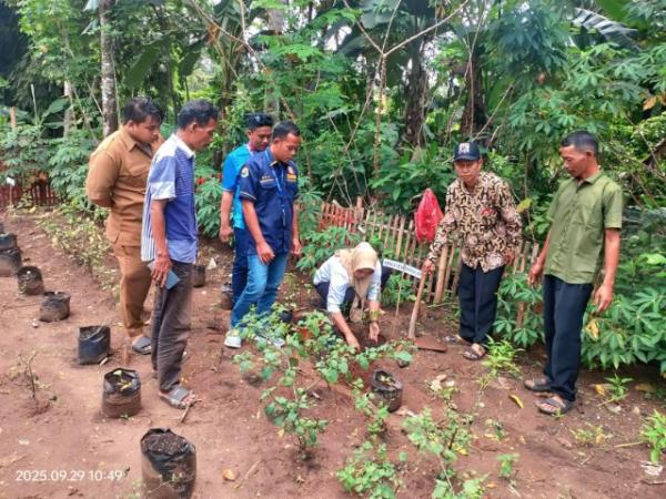 Lebak Glow Up! Pemuda Wanasalam Bikin Aksi Penghijauan Keren