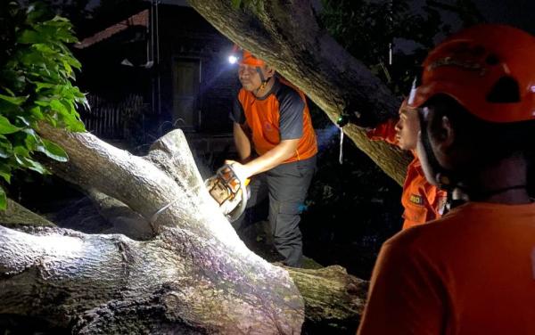 Hujan Deras Disertai Angin Kencang Luluhlantakkan Weleri, Sejumlah Pohon Tumbang