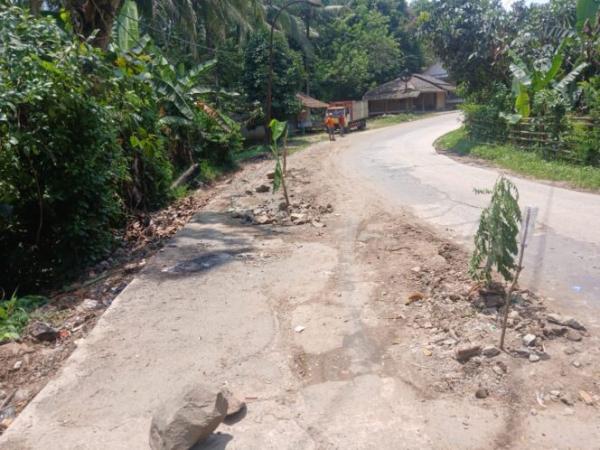 Warga Tanam Pohon di Jalan Rusak Rangkasbitung–Malingping, Pertanyakan Pemeliharaan PUPR