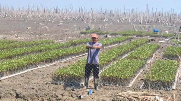 Abrasi di Inhil Lenyapkan 1.600 Hektare Kebun Kelapa Petani, Ini Langkah Pemerintah