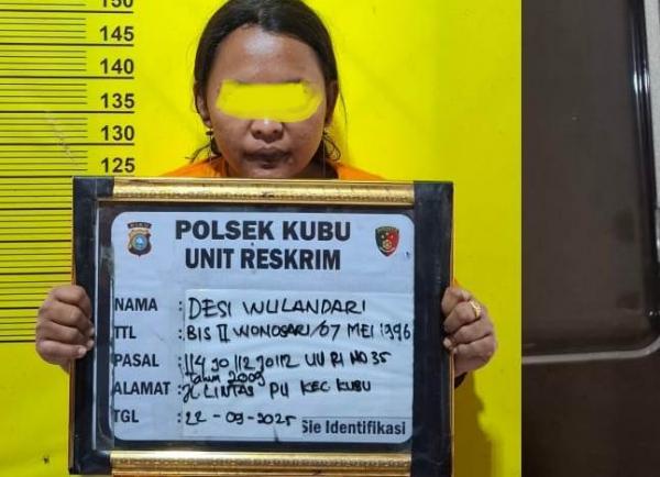Jadi Kaki Tangan Bandar Narkoba,‎ ‎Janda Muda di Kubu Rohil Diamankan