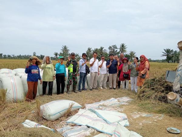 Sigap Jelang Panen Raya: Bulog Sumut Siap Serap 41.102 Ton Gabah, Patok Harga Minimal Rp6.500/Kg