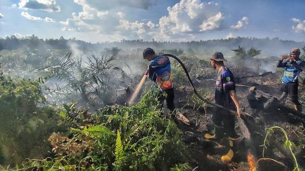 Tim Dalkarhutla kembali Padamkan Sejumlah Titik Kebakaran Lahan Gambut di Tengah Cuaca Ekstrem