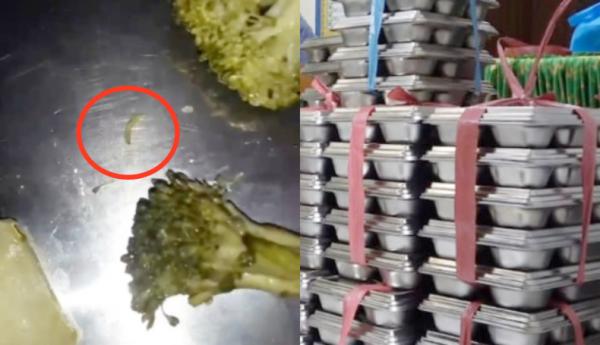 Viral Makanan Bergizi Gratis Murid Sd Ditemukan Berulat di Makassar