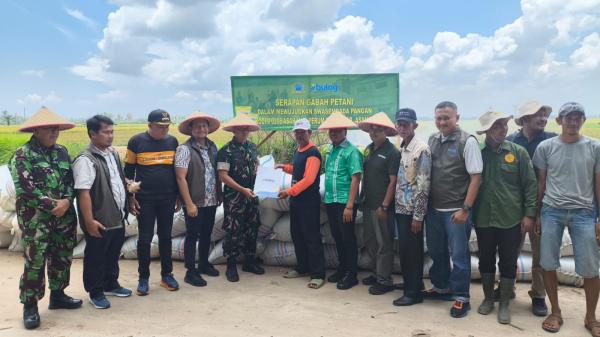 Sinergi Bulog-TNI Serap 20 Ton Gabah di Batu Bara, Petani Dapat Harga Pasti
