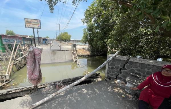 Jembatan Utama ke Wisata Tambak Gisik Kidul Sidoarjo Ambrol, Warga Harap Perbaikan Segera