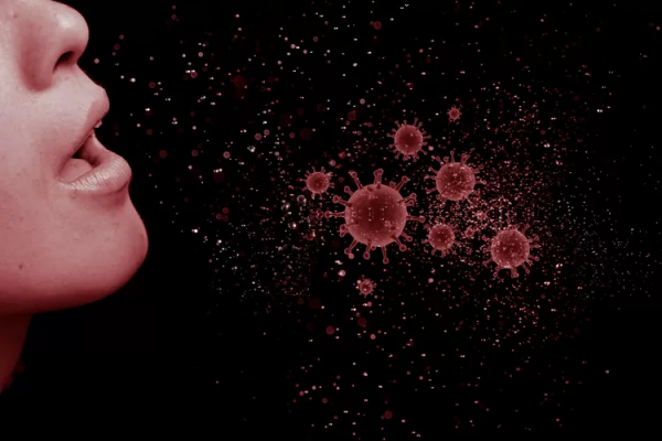 header img