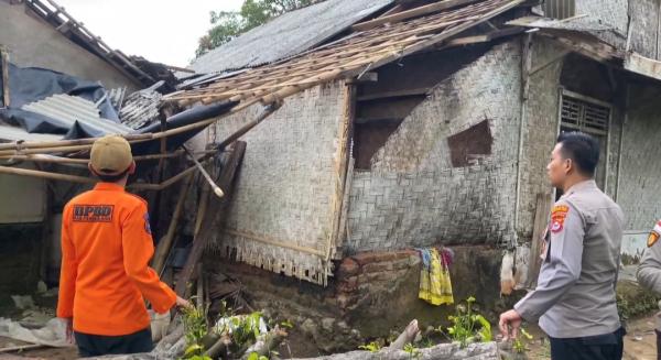 Cuaca Buruk di Pandeglang, Lima Rumah di Desa Ujung Jaya Rusak Diterjang Angin dan Pohon Tumbang