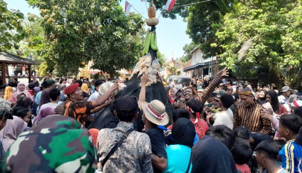 Ribuan Warga Berebut Gunungan dalam Kirab Grebeg Penjalin 2025 di Sukoharjo