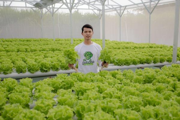 Gizi Anak Oke, Petani Cuan! Program MBG Lumajang Putar Roda Ekonomi Lokal