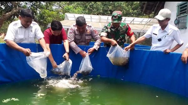 Lele dan Sayur Hidroponik Jadi Senjata Desa Tenjo Wujudkan Ketahanan Pangan