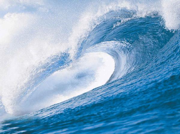 header img