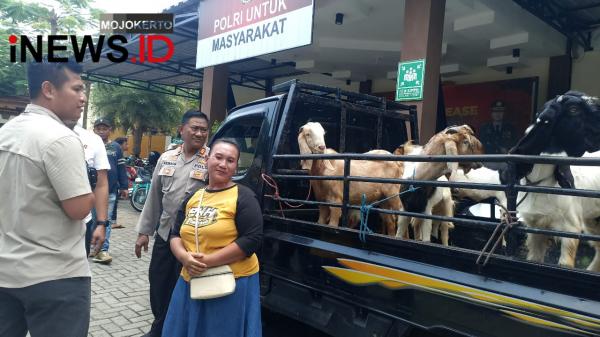 Kisah Emak-emak Jadi Korban Penipuan Kambing di Jombang, Korban Ditinggal di Warung