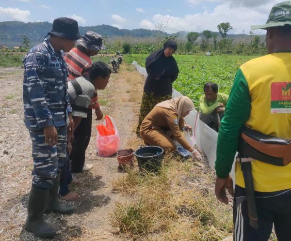 Petani Banyuwangi Dapat Cara Antisipasi Serangan Hama Tikus, Ini Alat yang Dirancang Khusus!