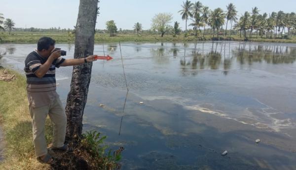 Warga Pangkep Digegerkan Penemuan Mayat Nelayan di Area Tambak