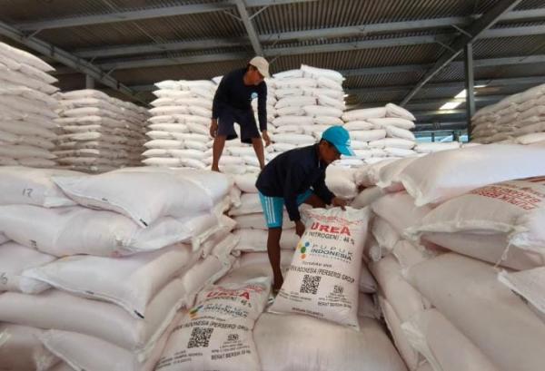 Serapan Pupuk NPK Bersubsidi di Indramayu Capai 78 Persen