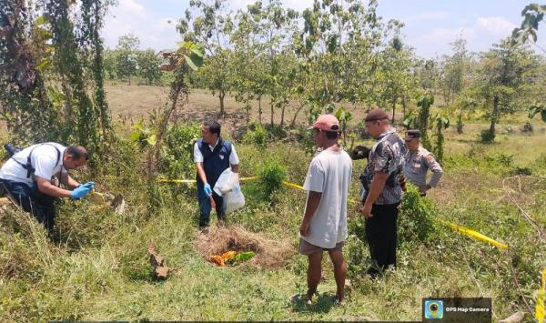 Bayi Dibuang di Hutan Jati Malo, Polisi Telusuri Pelaku Lewat Data RS dan Puskesmas