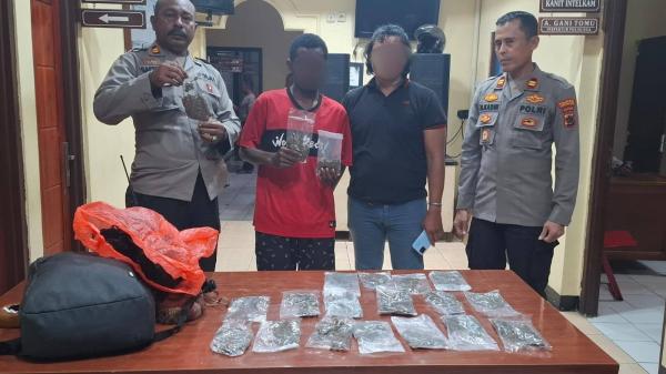 Polisi Gagalkan Penyelundupan 3,6 Kilogram Ganja di Pelabuhan Jayapura, Empat Pelaku Dibekuk