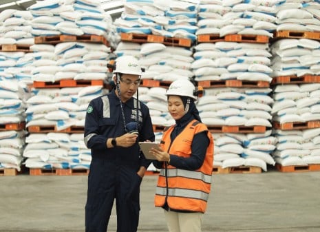 Setahun Pemerintahan Prabowo-Gibran, Distribusi Pupuk Subsidi Lebih Tepat Waktu dan Efisien