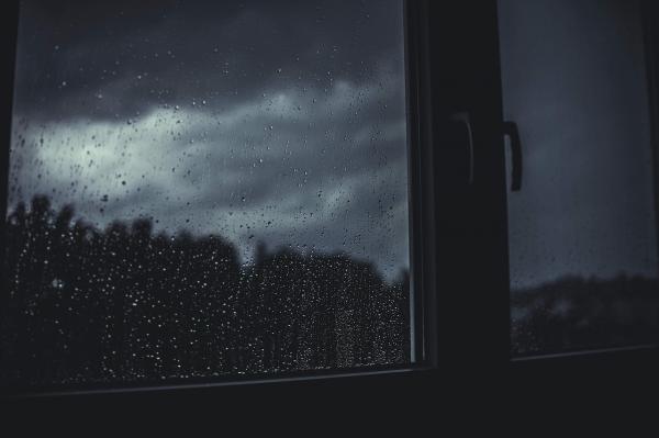 header img