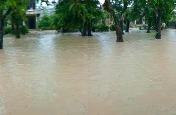 Banjir Bandang Landa Gondang, Bojonegoro: Jalan Terendam Sepanjang 1 Kilometer
