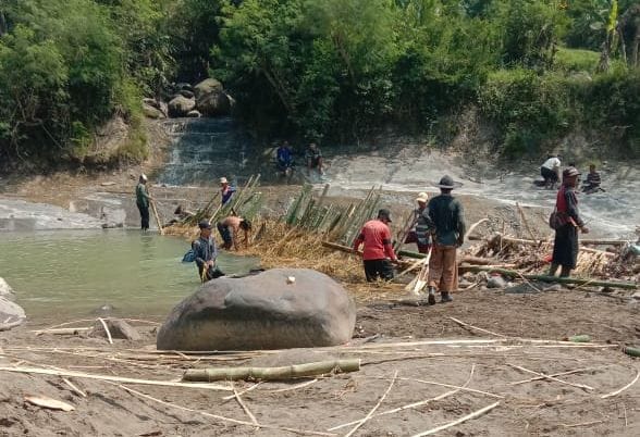 Bendungan Jebol, Ratusan Hektare Lahan Pertanian di Sukaresmi Terancam Kekeringan