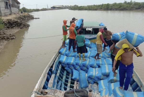 Garam Petani Madura Diserap Hingga 100 Ton per Hari, Sampang dan Pamekasan Jadi Pemasok Utama