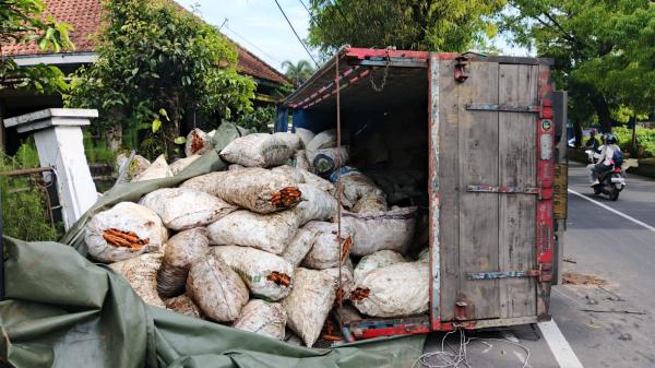 Jalur Maut Ciamis, Truk Wortel Wonosobo Terguling di Sari Pohaci, Sopir Kelelahan Jadi Penyebab?