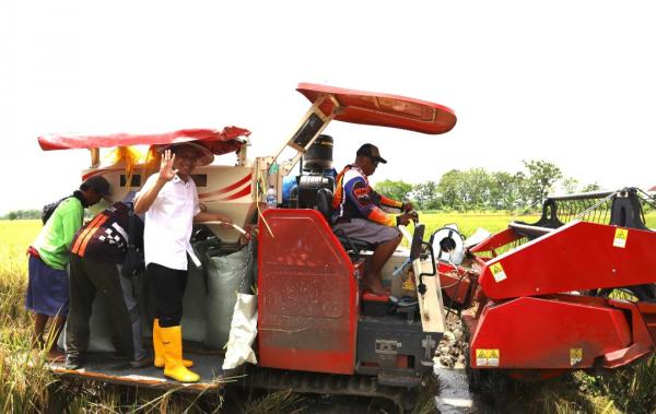 Syukuran Panen Raya di Sumberejo, Bupati Dorong Petani Inovatif dan Ramah Lingkungan