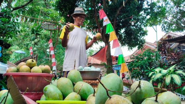 Mangga, Telur Asin, dan Harapan: Cerita Warga Desa Krasak Sambut Istri Wapres