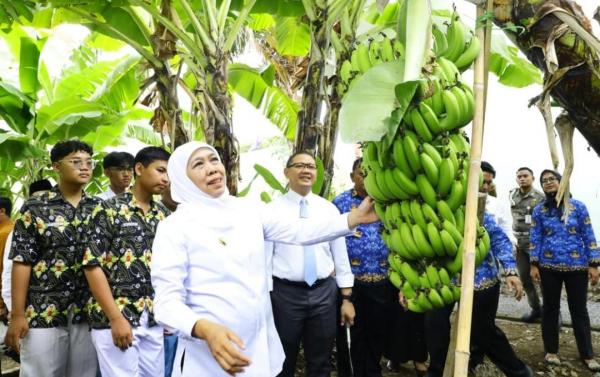 Program School Food Care, Cara Kreatif Sekolah di Jatim Wujudkan Ketahanan Pangan dan Edukasi Hijau