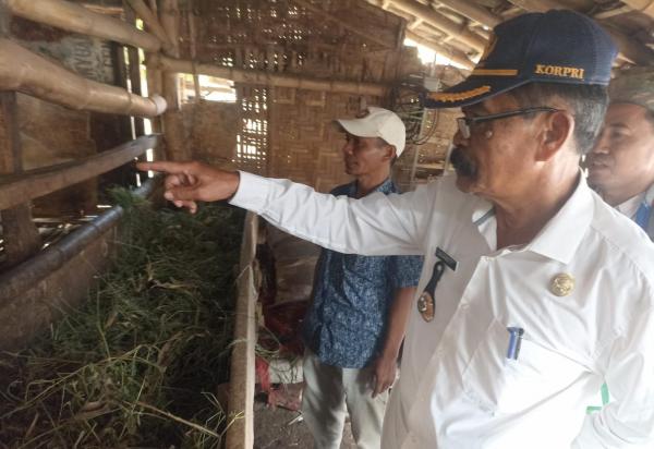 Dari Kotoran Kambing Jadi Berkah, Desa Banyuanyar Lor Ubah Limbah Jadi Penghasilan Warga