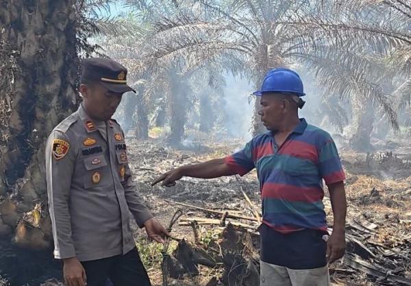 Gegara Puntung Rokok 7 Hektare Lahan di Rohil Terbakar, Pemilik Ditangkap ‎