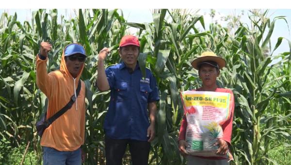 Inovasi Profesor Unsoed Jawab Tantangan Polusi Pupuk dan Ketahanan Tanaman