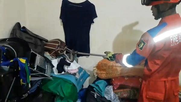 Anak Ular Piton Bersembunyi di Tumpukan Pakaian, Penghuni Kost di Palangka Raya Lapor Damkar