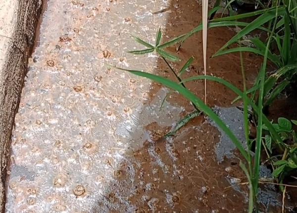 Limbah Dapur MBG Picu Keluhkan Warga Cilegon