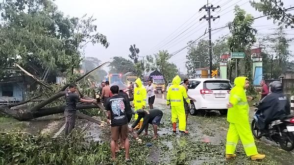 Diterjang Hujan Angin Kencang, Lima Pohon Tumbang Tutup Jalan Bojonegoro–Cepu