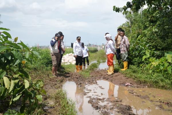 Warga Terisolasi Bertahun-Tahun, Wali Kota Makassar Kucurkan Rp4 Miliar Bangun Akses Jalan Baru
