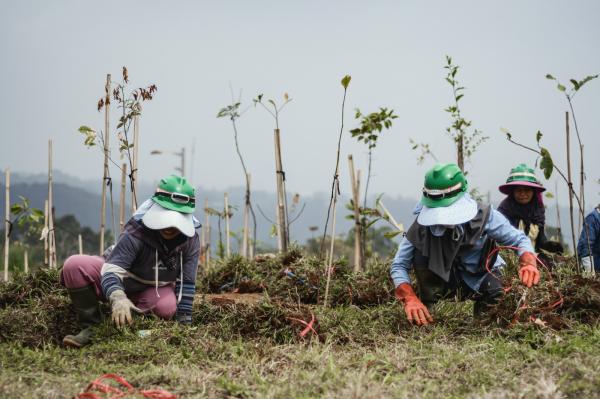 Megamendung Glow Up Parah! Dulu Lahan Konflik, Kini Ekowisata Keren