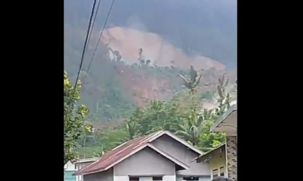 Longsor Terjang Situkung Banjarnegara: 30 Ekor Sapi dan 250 Kambing Tertimbun Material