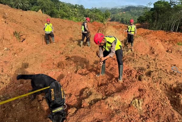 Update Longsor Banjarnegara: 26 Korban Belum Ditemukan, Polda Jateng Kerahkan Anjing Pelacak