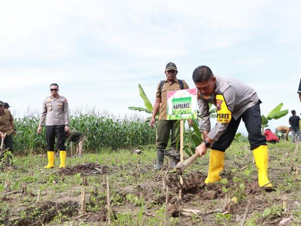 Ayo Cegah Banjir dan Longsor, Polres Grobogan Bareng Mahasiswa Serta Perhutani Tanam Pohon di Lebak